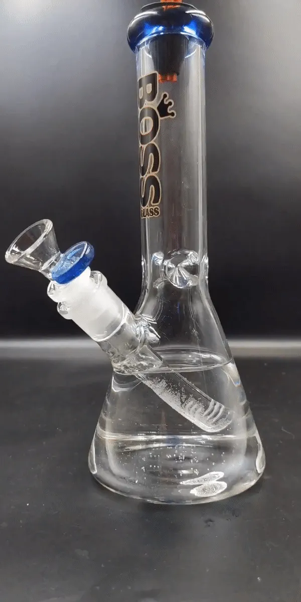 10 Boss Beaker Water Pipe