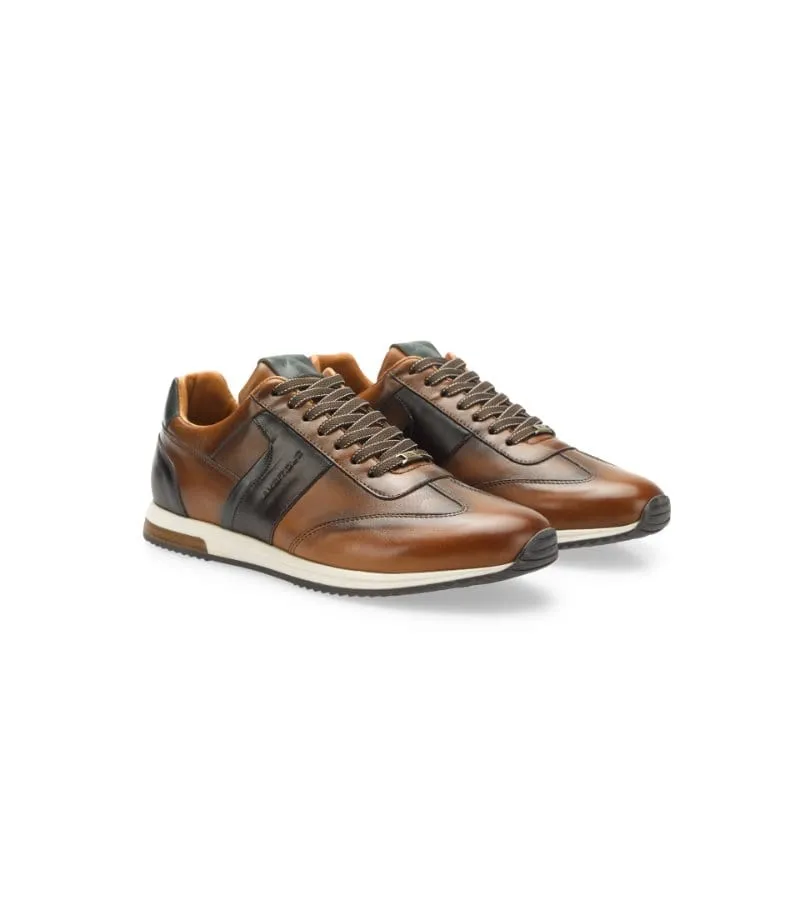 Ambitious Mens Premium Cognac Combi Leather Fashion Trainer 11721-6584AM