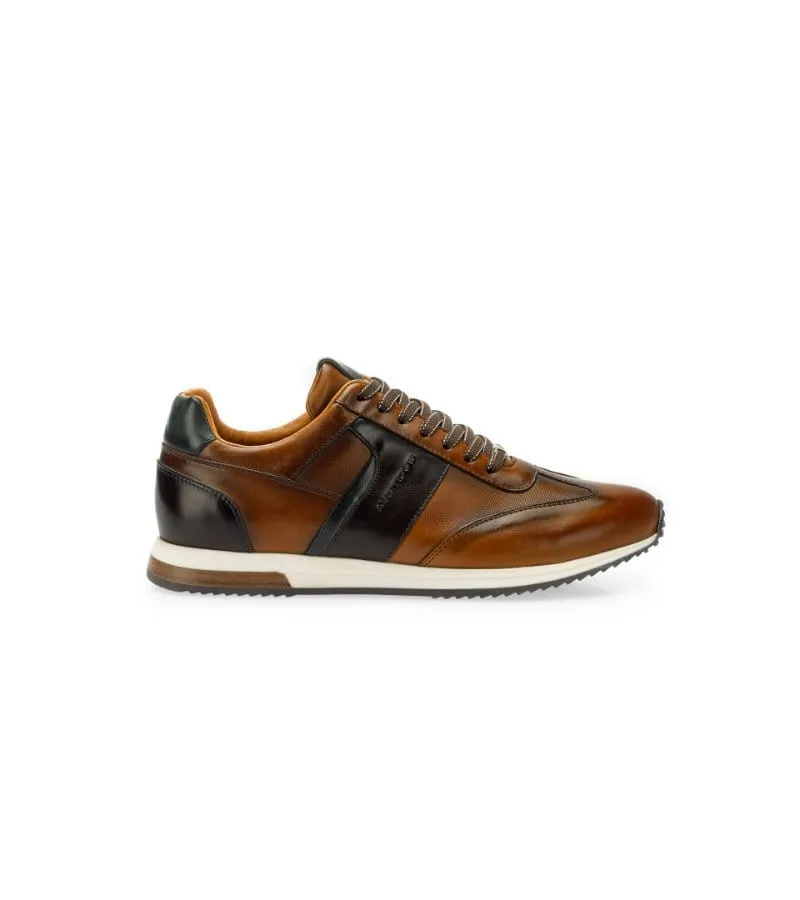 Ambitious Mens Premium Cognac Combi Leather Fashion Trainer 11721-6584AM