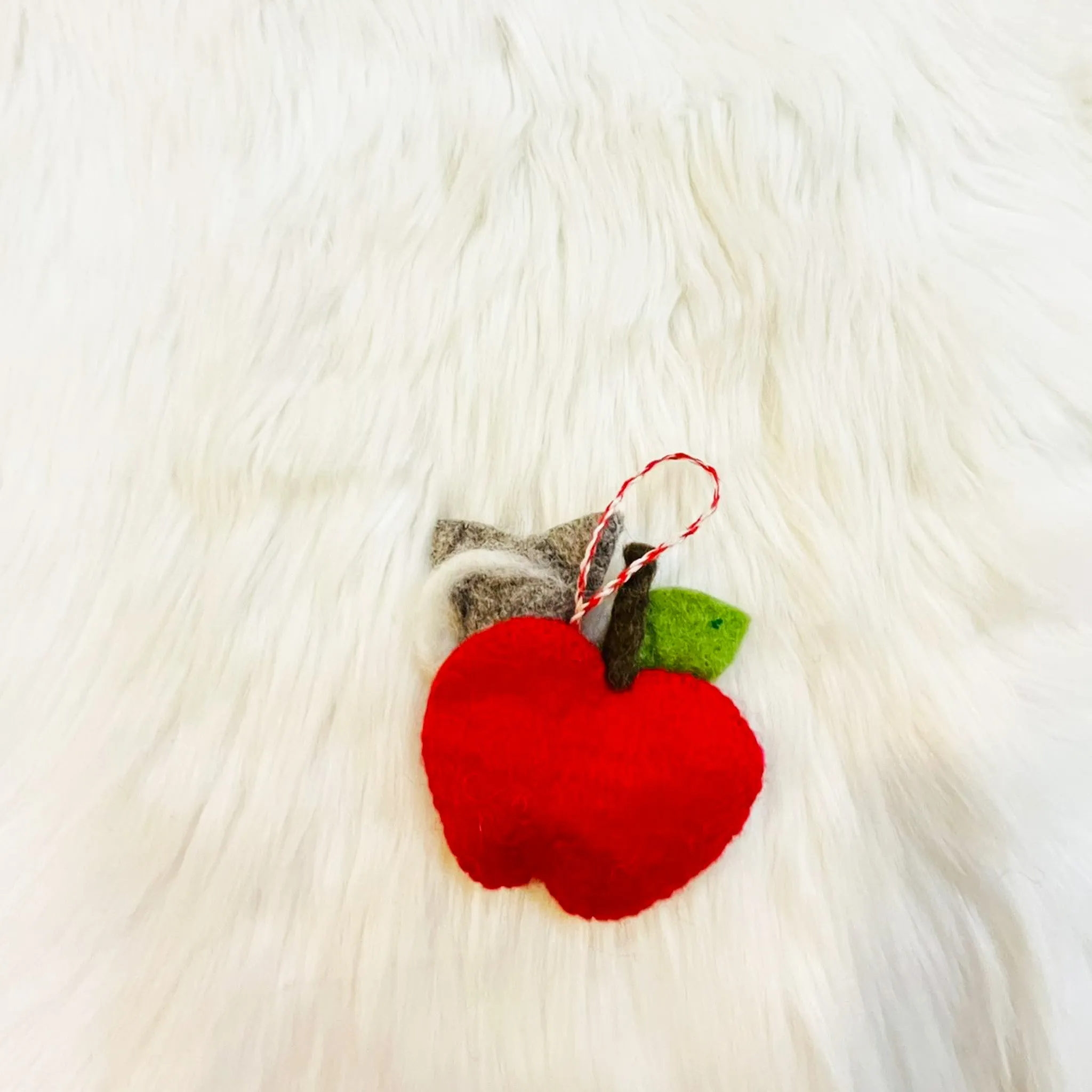 Felted Cat Christmas Ornaments/Holiday Decoration