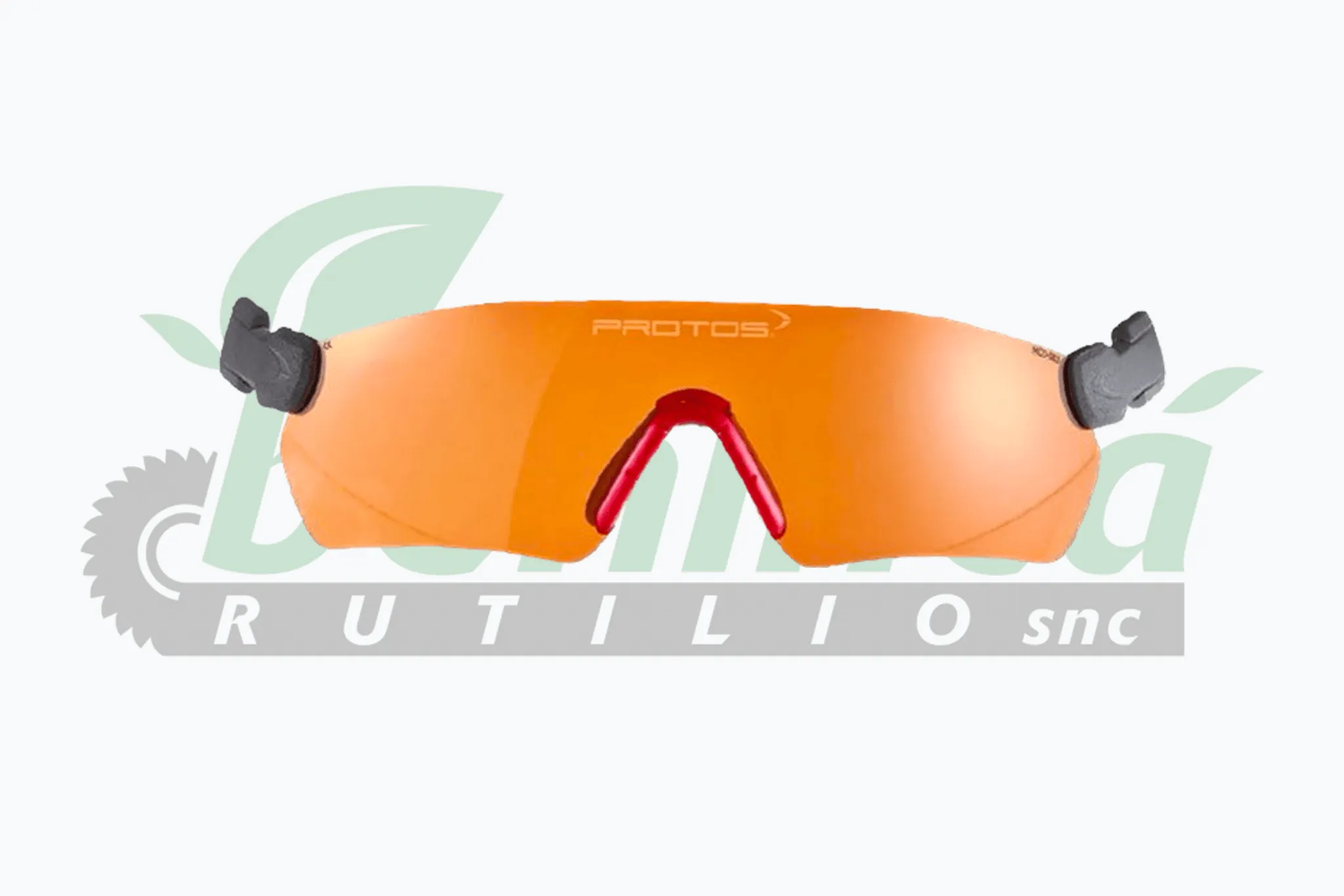 Protos Integral Forest safety glasses