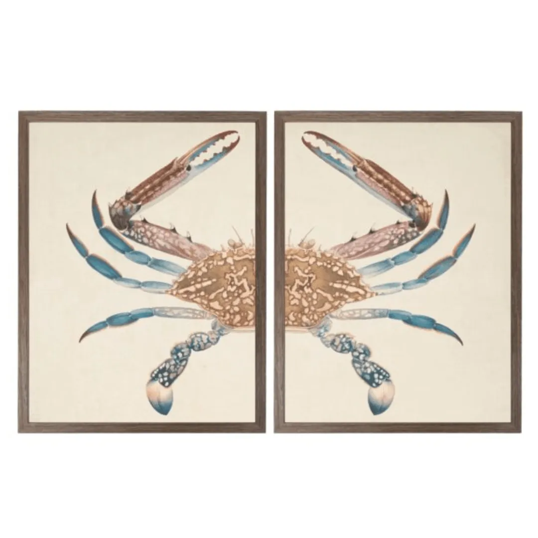 Vintage Bookplate of a Swimming Crab Diptych