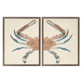 Vintage Bookplate of a Swimming Crab Diptych